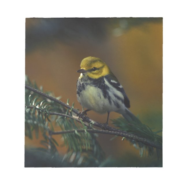 Bloc De Notas Arrogansis negras (Frente)