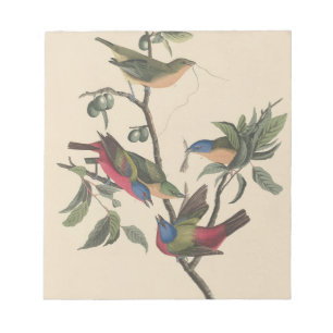 Bloc De Notas Arte colorido de aves de Bunting pintado de Audubo