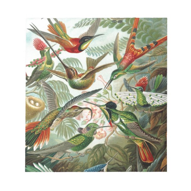 Bloc De Notas Arte de Paraíso de las Aves (Frente)