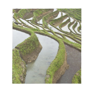 Bloc De Notas Asia, China, Yunnan, Yuanyang. Arroz inundado