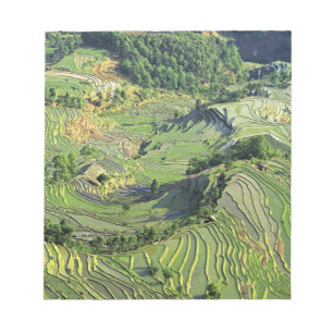Bloc De Notas Asia, China, Yunnan, Yuanyang. Patrón de verde