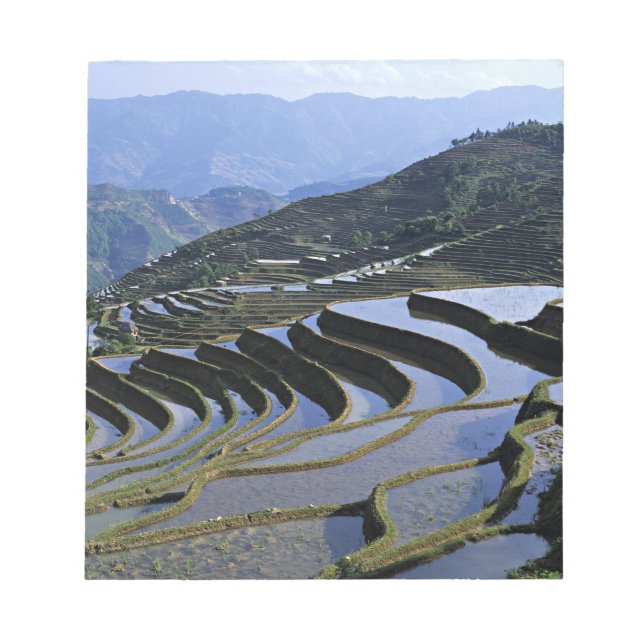 Bloc De Notas Asia, China, Yunnan, Yuanyang. Rugoso (Frente)