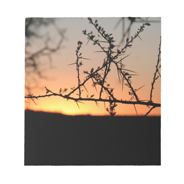 Bloc De Notas Atardecer africano con espinosa silueta de árbol d (Frente)