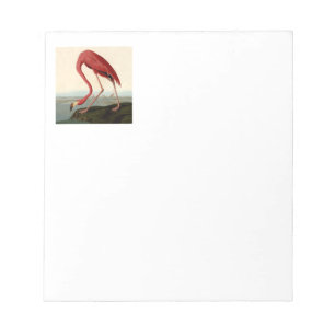 Bloc De Notas Audubon American Flamingo