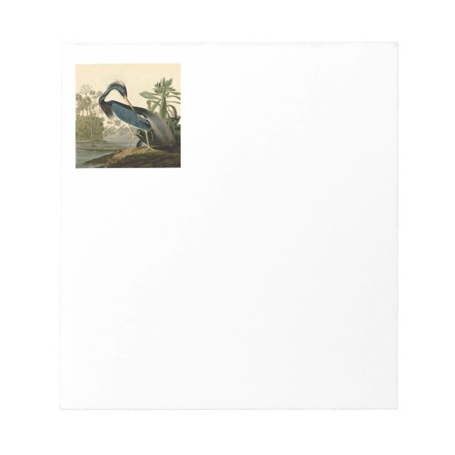 Bloc De Notas Audubon Louisiana Heron Birds America Art (Frente)