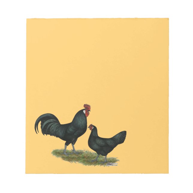 Bloc De Notas Augsburger Chickens (Frente)