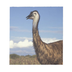 Bloc De Notas Australia, Australia Occidental. Emú (Dromaius