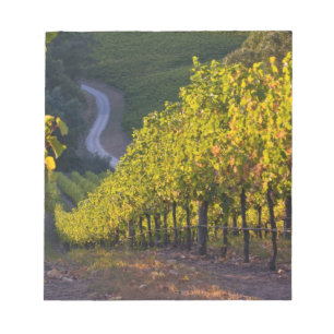 Bloc De Notas Australia Meridional, Adelaide Hills, Summertown.