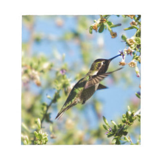 Bloc De Notas Ave de barro