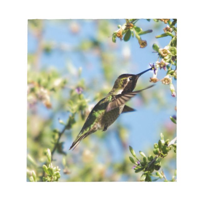 Bloc De Notas Ave de barro (Frente)