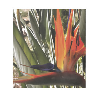 Bloc De Notas Ave del Paraíso Strelitzia Reginae Acrílico Painti