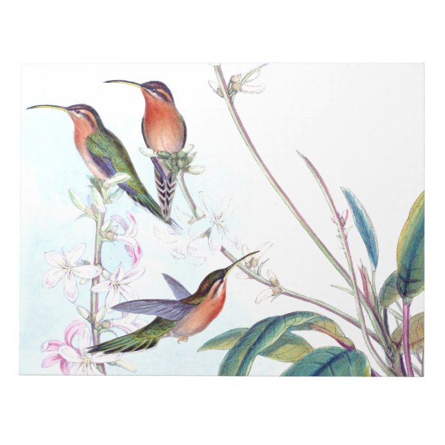 Bloc De Notas Aves colibríes Flores Flores Flores Vida silvestre (Frente)
