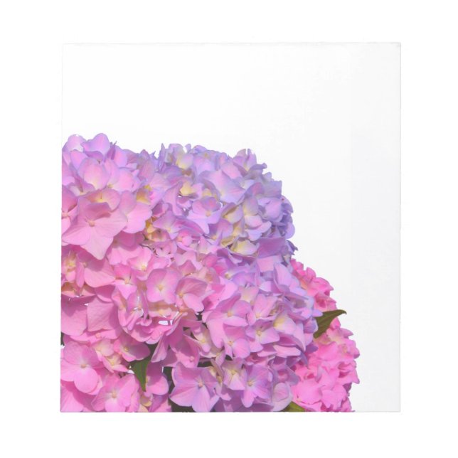 Bloc De Notas Azul rosa Hydrangeas flores púrpura elegantes (Frente)