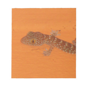 Bloc De Notas Baby Tokay Gecko