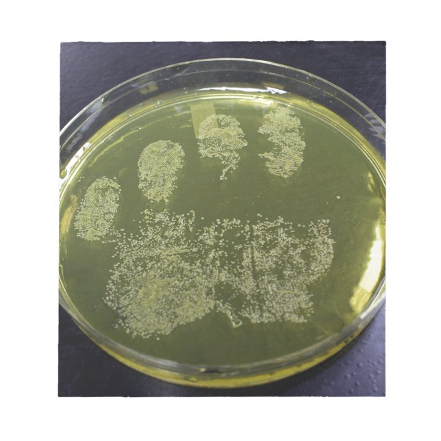 Bloc De Notas Bacteria Hand Petri Dish (Frente)