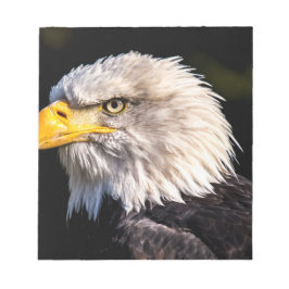Bloc De Notas Bald Eagle
