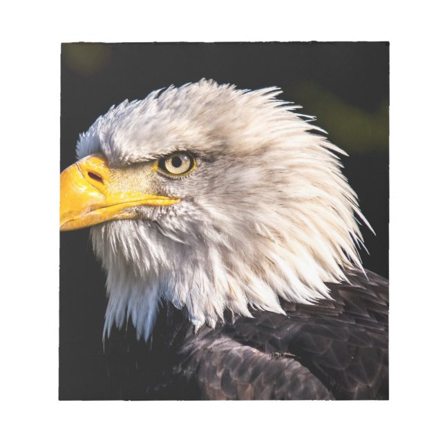 Bloc De Notas Bald Eagle (Frente)
