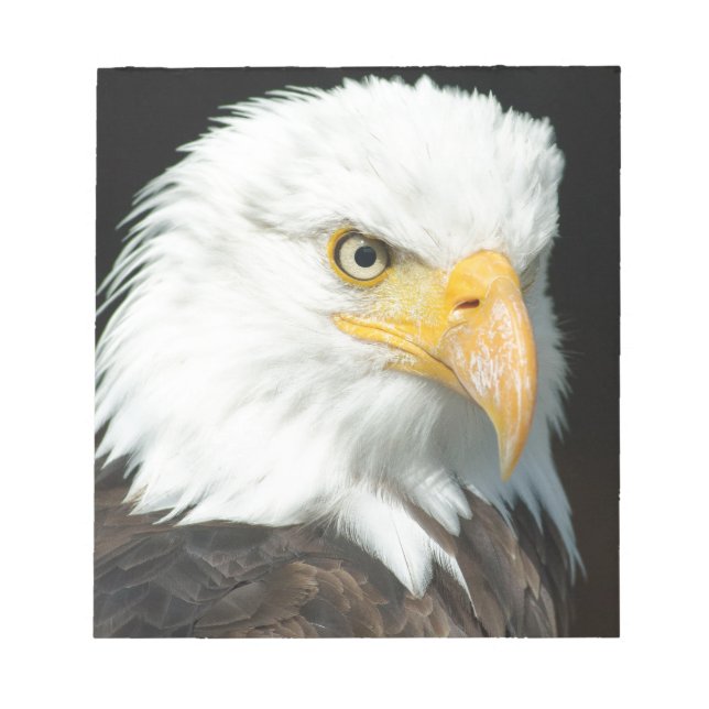 Bloc De Notas Bald Eagle (Frente)