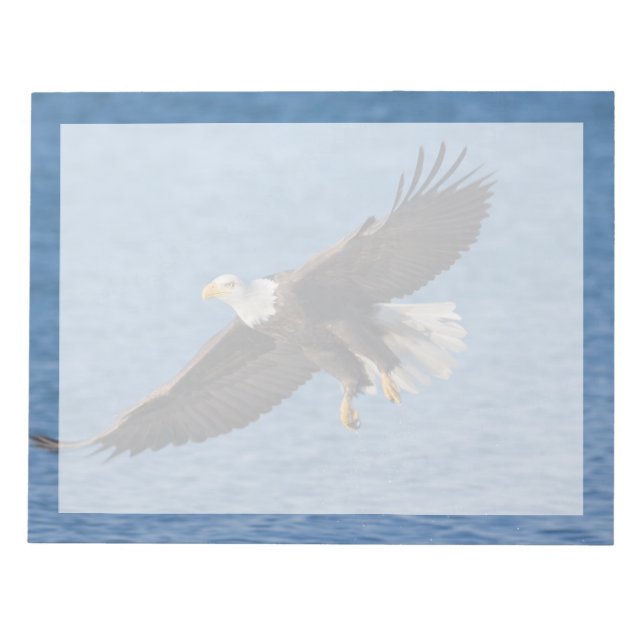 Bloc De Notas Bald eagle in flight (Frente)