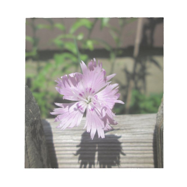 Bloc De Notas Baños Rosa Dianthus sobre la cerca (Frente)