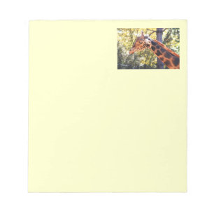 Bloc De Notas Baringo Giraffe
