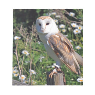 Bloc De Notas Barn Owl