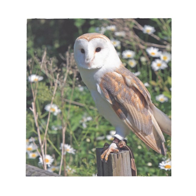 Bloc De Notas Barn Owl (Frente)
