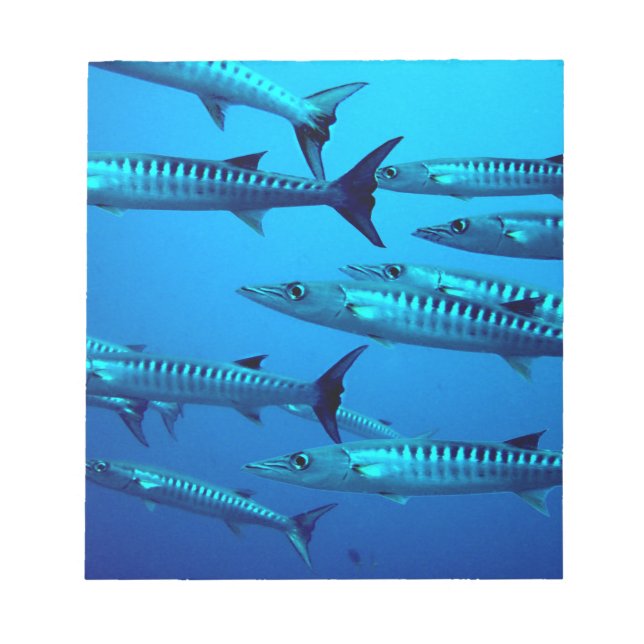 Bloc De Notas barracuda buceo profundo mar agua tropical ola (Frente)