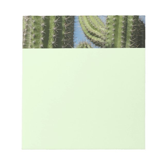 Bloc De Notas Barrel Cactus I Desert Photo (Frente)