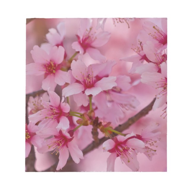 Bloc De Notas Bathin in Pink Japanese Cherry Blossoms (Frente)
