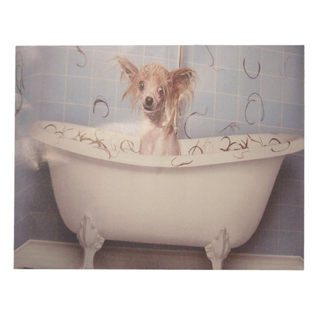 BLOC DE NOTAS BATHING PUPPY (Frente)