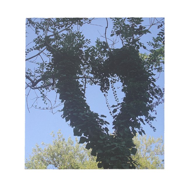 Bloc De Notas Baumherz (Frente)