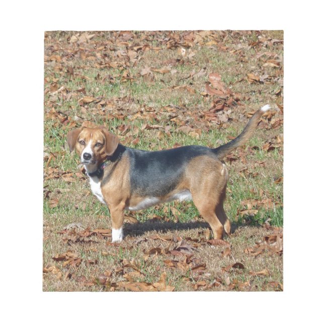 Bloc De Notas Beagle (Frente)
