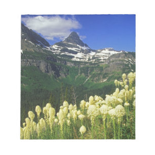Bloc De Notas Beargrass en Logan Pass en Glacier National Park
