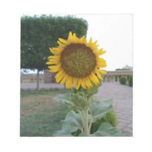 Bloc De Notas Beautiful Stunning Sunflower