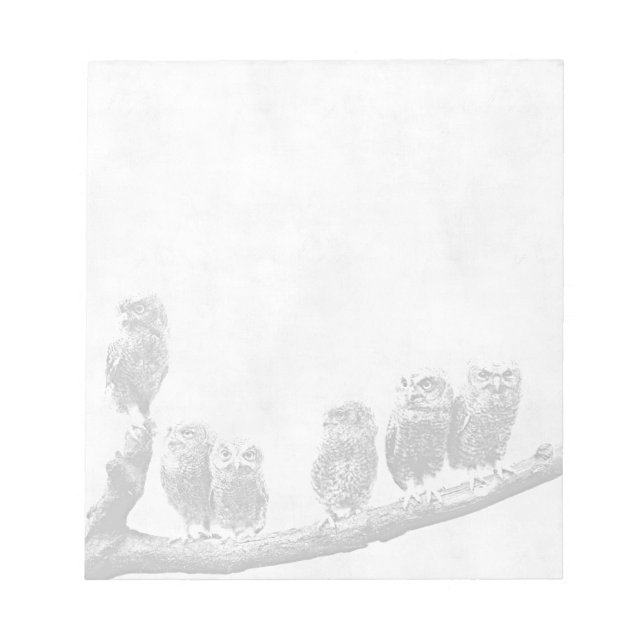 Bloc De Notas Bebé Screech Owls Notepad (Frente)