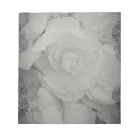 Begonia blanca