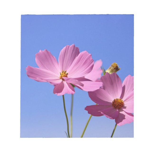 Bloc De Notas bellas flores rosas abrazando un cielo azul claro (Frente)