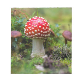 Bloc De Notas Belleza de otoño