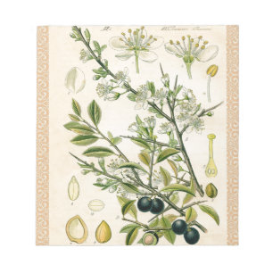 Bloc De Notas Berry de flores antiguas de espinas negras