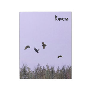 Bloc De Notas Bloque De Ravens