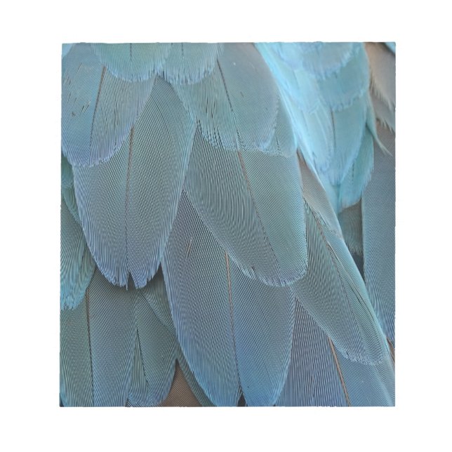 Bloc De Notas Blue Feather (Frente)
