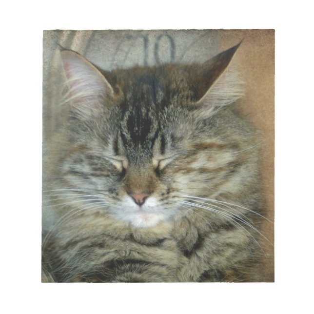 Bloc De Notas Bob (Frente)