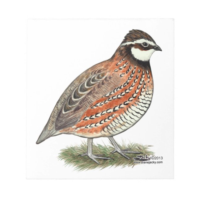 Bloc De Notas Bobwhite Quail Rooster (Frente)