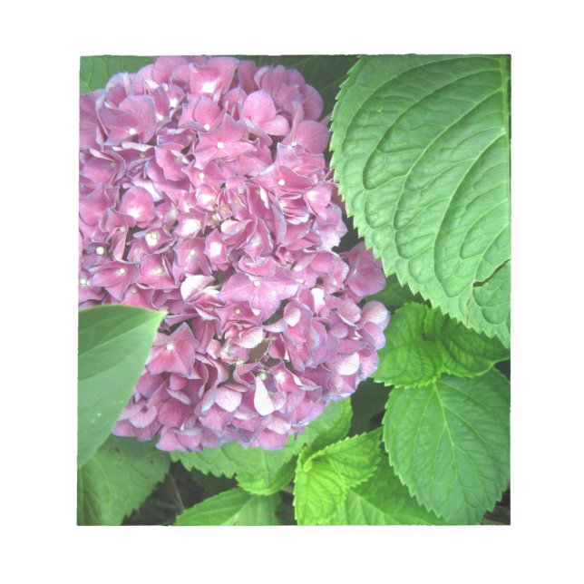 Bloc De Notas Bolsa de nieve (Frente)