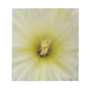 Bloc De Notas Bonito Pale Daffodil Notepad