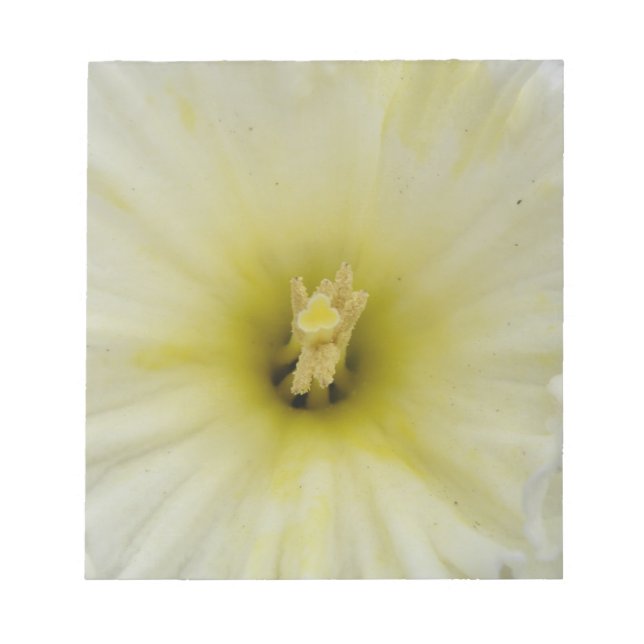 Bloc De Notas Bonito Pale Daffodil Notepad (Frente)