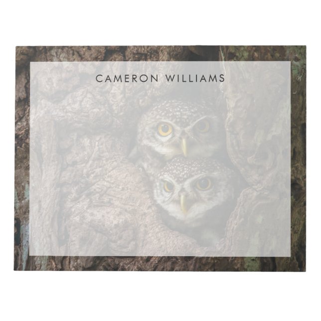 Bloc De Notas Bosques | Dos lechuzas mirando (Frente)