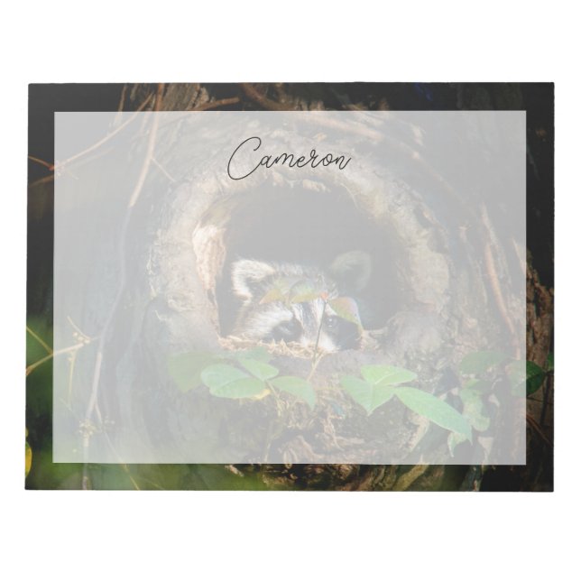 Bloc De Notas Bosques | Raccoon Peeking (Frente)