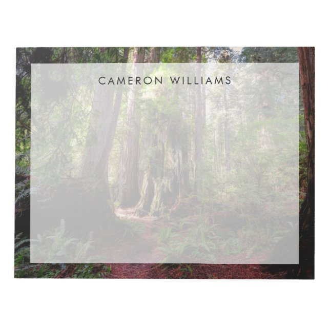 Bloc De Notas Bosques | Redwood Forest California (Frente)